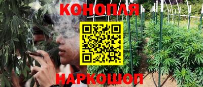 амф Боровичи