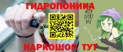 амф Боровичи