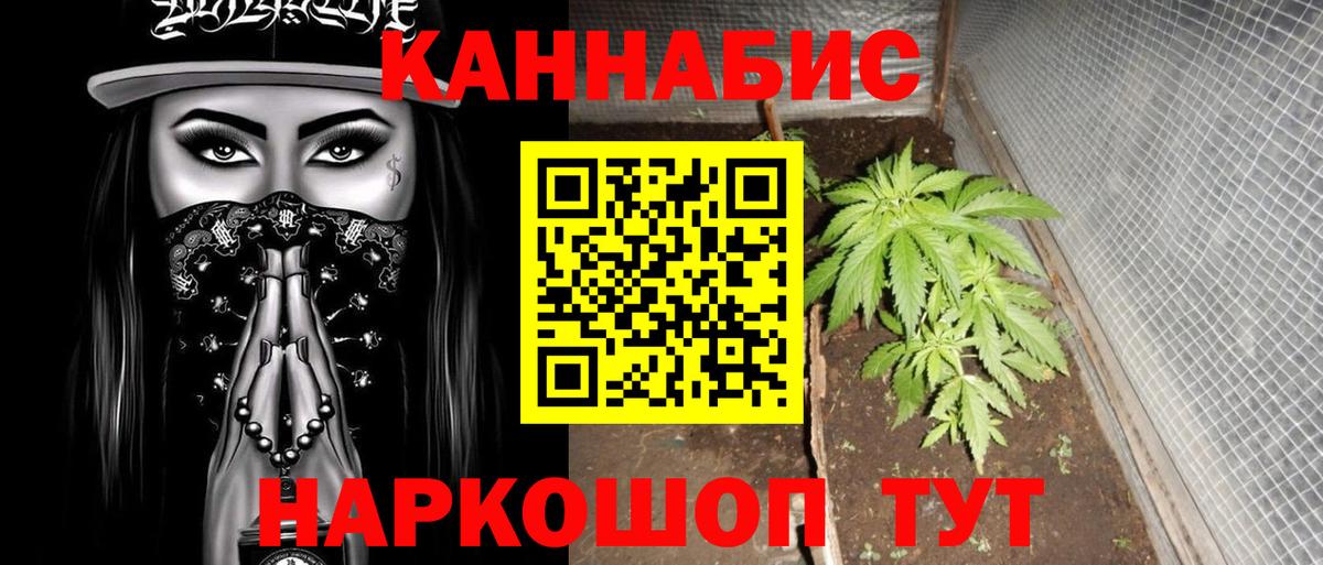 Конопля ГИДРОПОН  Вход с VPN  Избербаш  Бошки Шишки конопля 
